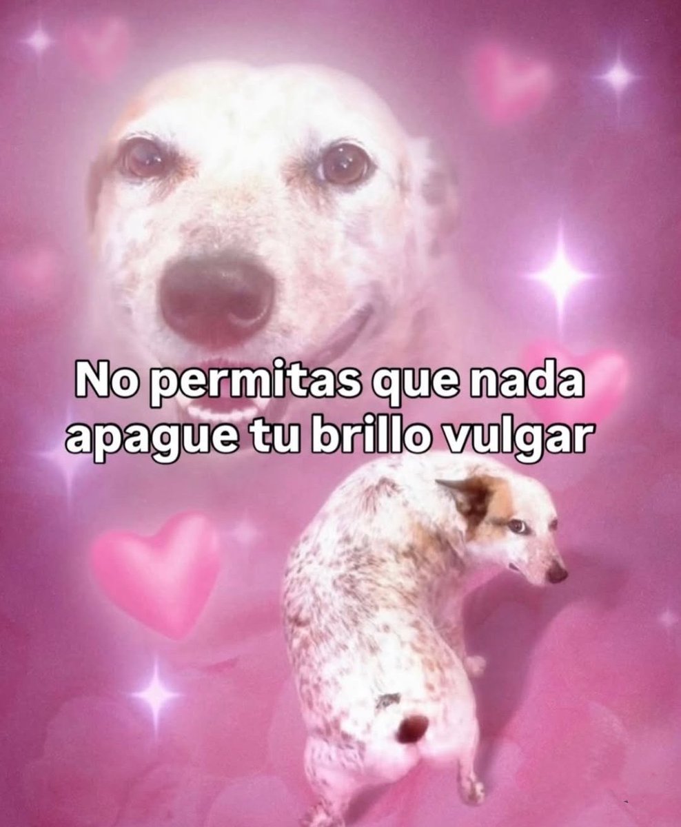 Carola ✨ tweet media