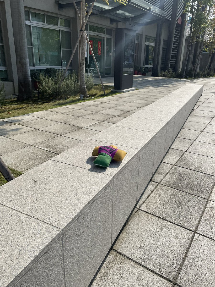 ⟡Aur0ra★(桂格超大便當) tweet media