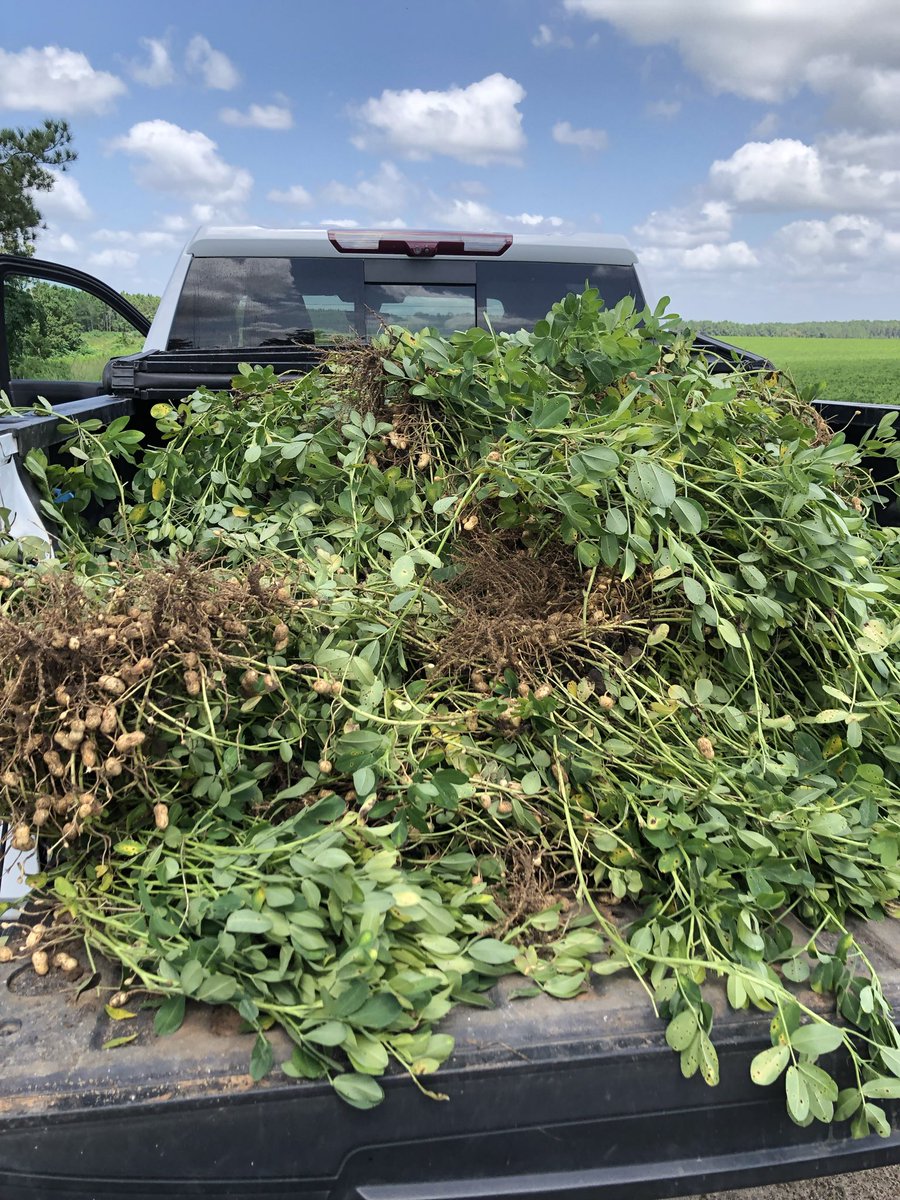 The Land Lawyer tweet media