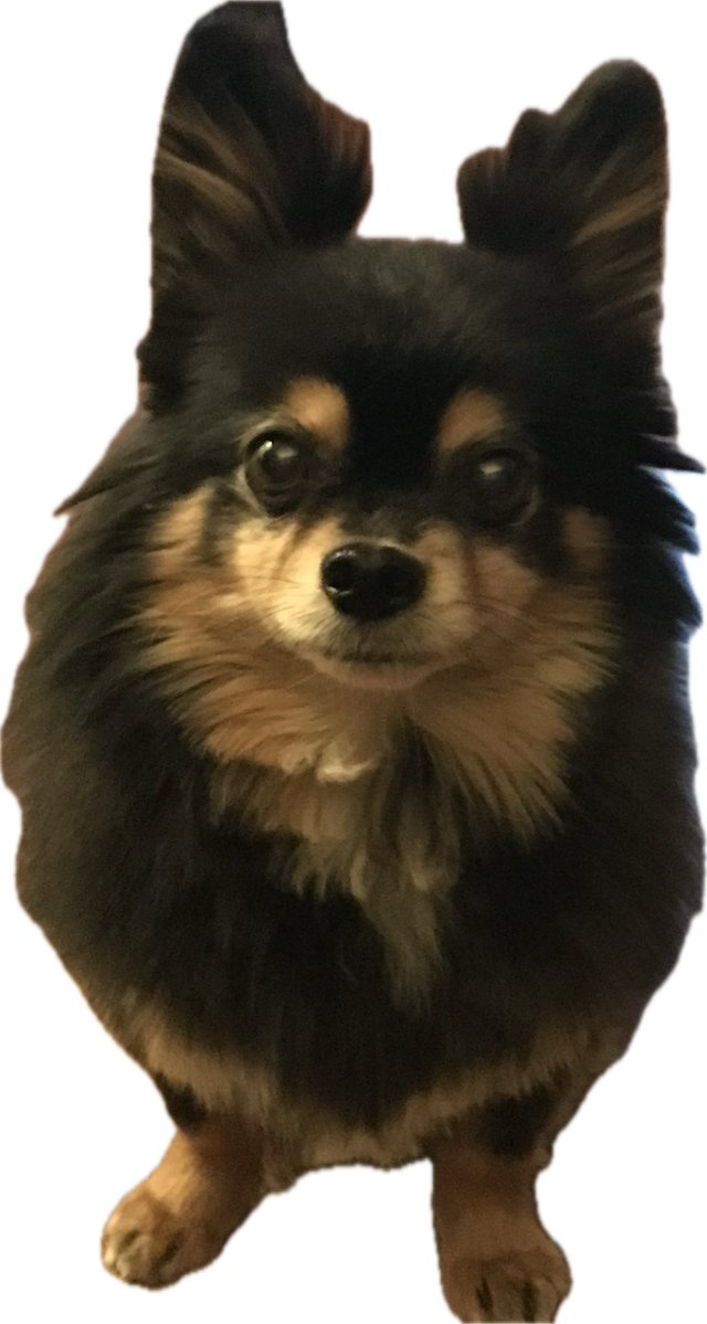 Comfortably Numb🦋🕊️🦋 tweet media