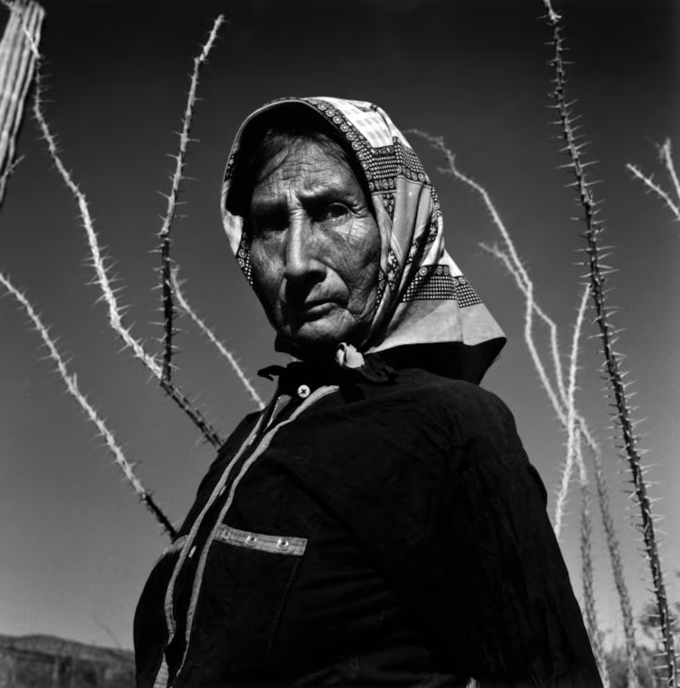 zarandillo's tweet photo. Retrato en el desierto de Sonora. México, 1979.
Graciela Iturbide. https://t.co/nwDAzOIYUY