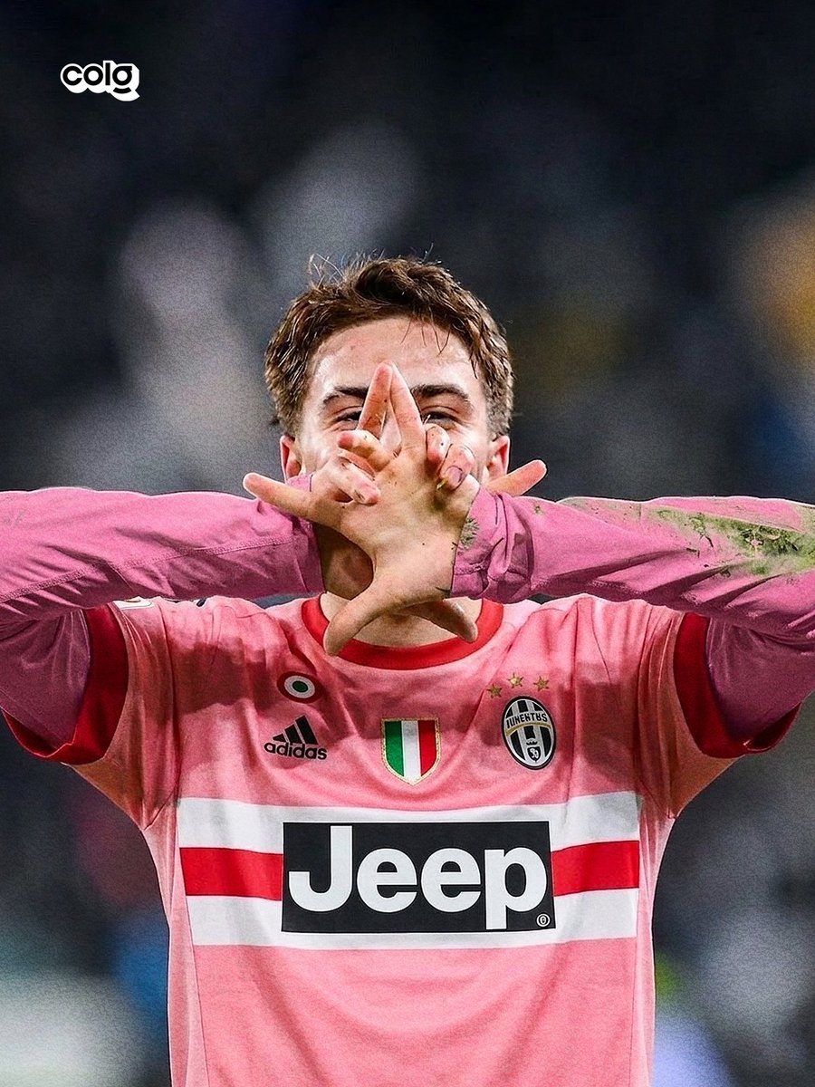 dan colosimo tweet media