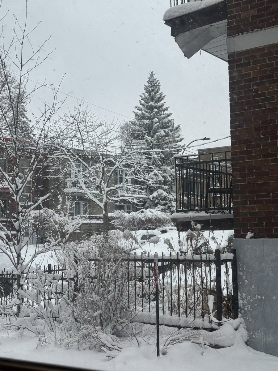 View from my window 🥲