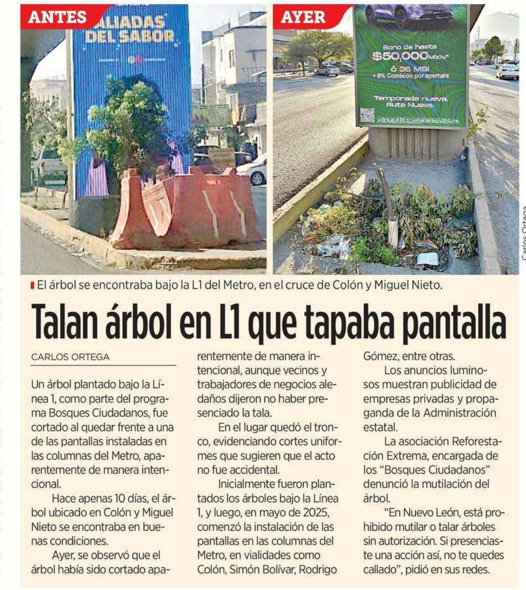 LilianaFloresBenavid tweet media