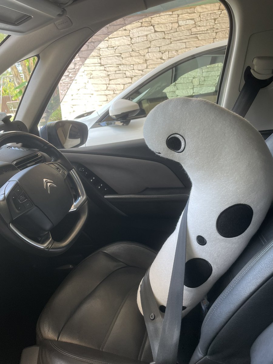 🌿 Amyquel 🔜 LIFC2026 tweet media