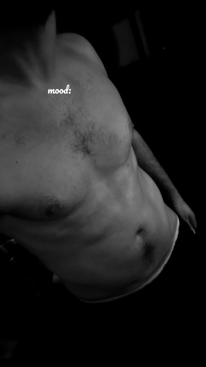 Bully XL 🇵🇹 tweet media