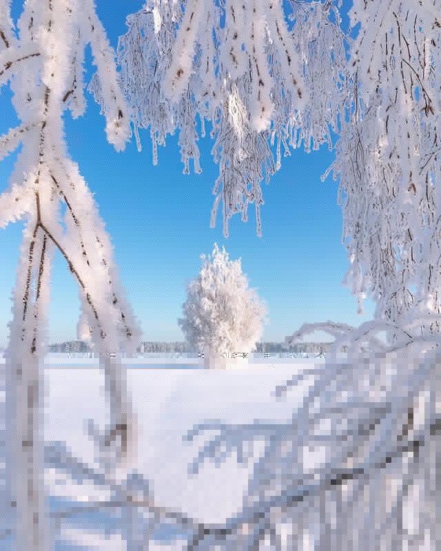 Abdul Ghafoor (@ghafoor0088290) on Twitter photo 