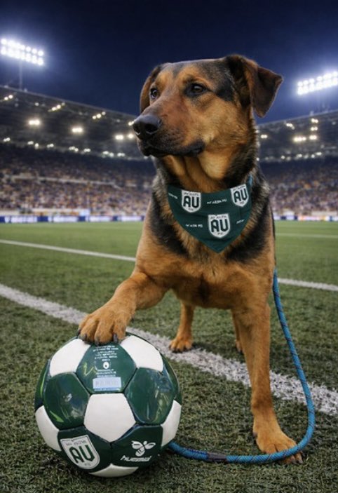 SarahjaneGille1's tweet image. MISSION SAVE NASIR #RESCUES 🙏in LosAngeles #GreatLosAngelesDog #SaveNashir #LADogSaveNashir #AdoptNashir #LASTARSADOPT #RescueNashir #FosterNashir #LADogAdoptNashir by the #GRACEOFGOD ALIVE 🙏🙏MAR.14 ENTERED JAN.26 🆘HOW NOT ADOPTED ~CRITICAL 🆘🚨‼️🙏I BEG YOU TO HELP NOW” I