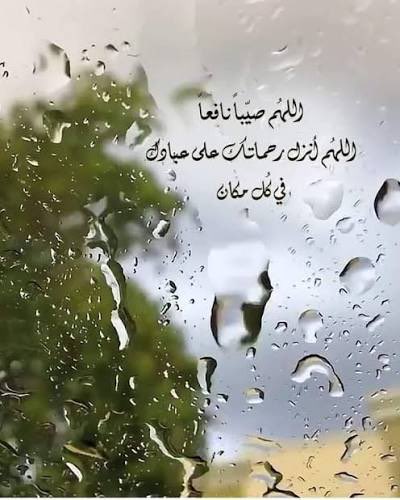 محمد بن بجاد tweet media