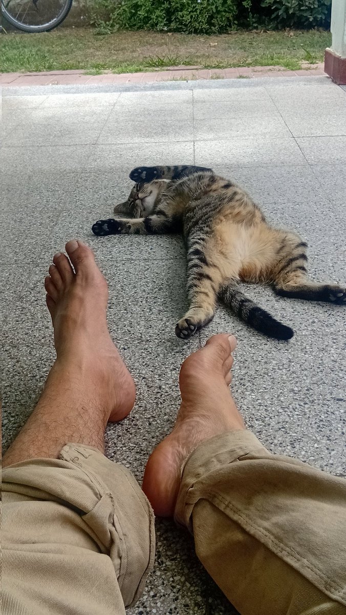 Cesar Alberto Rueto tweet media