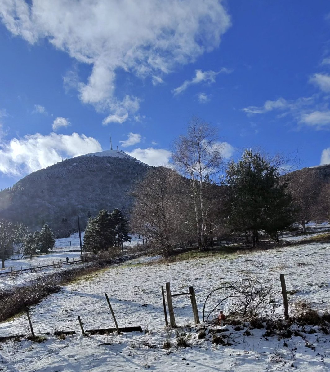 Jean-Pierre Brenas tweet media