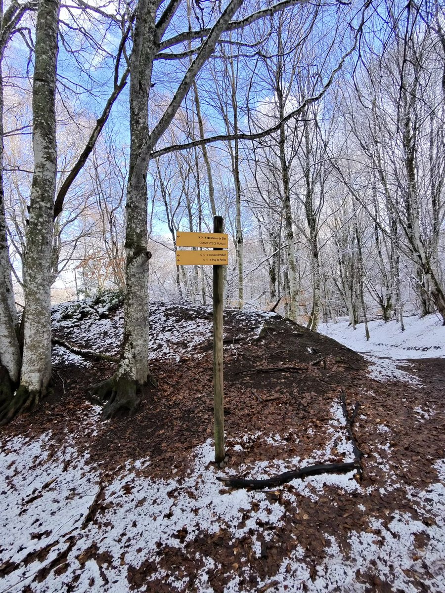 Jean-Pierre Brenas tweet media