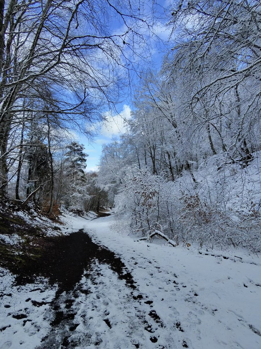 Jean-Pierre Brenas tweet media