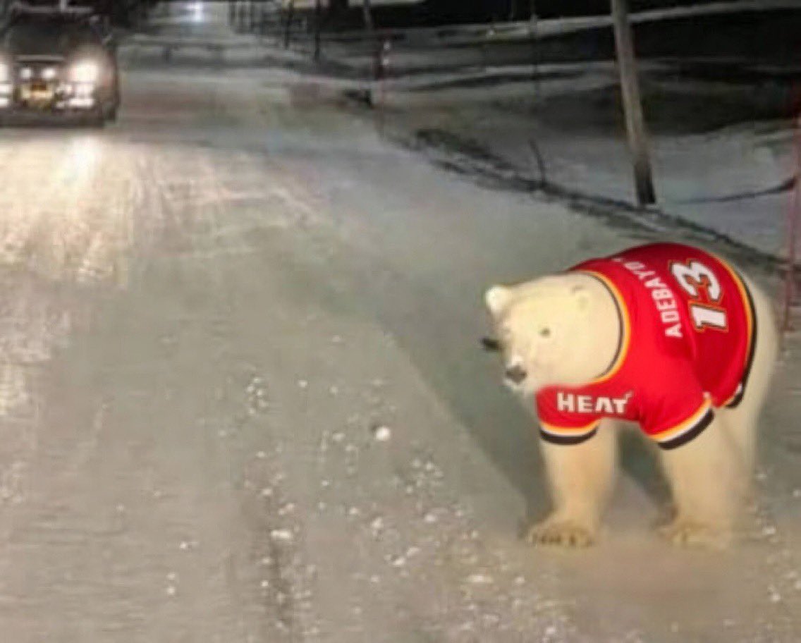 Laker Ace tweet media