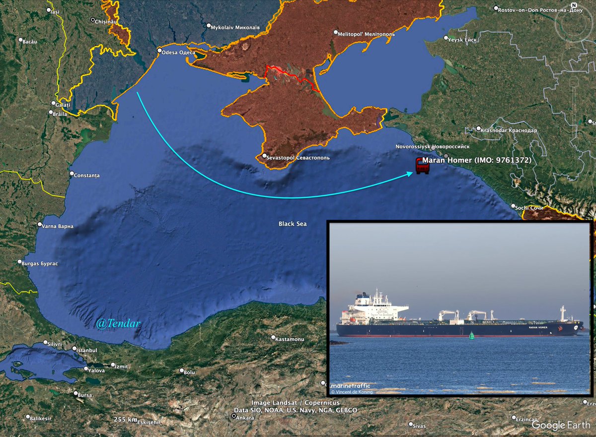 (((Tendar))) tweet media