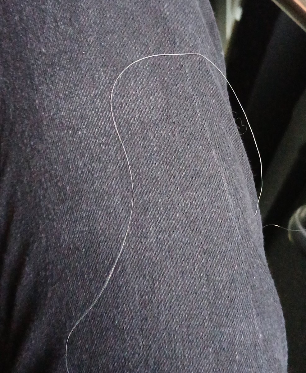 L'abominable Lisa 🏳️‍⚧️ tweet media