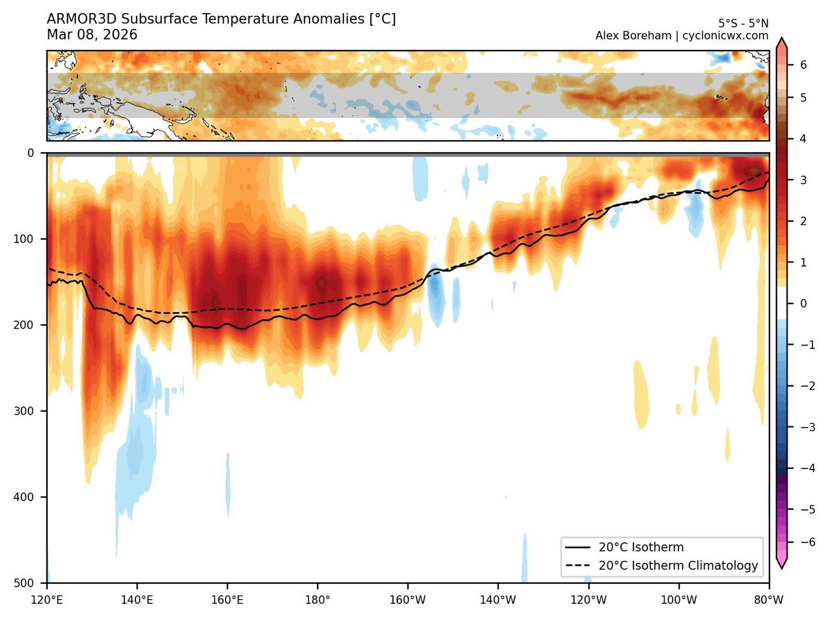 Andrew Austin-Adler tweet media