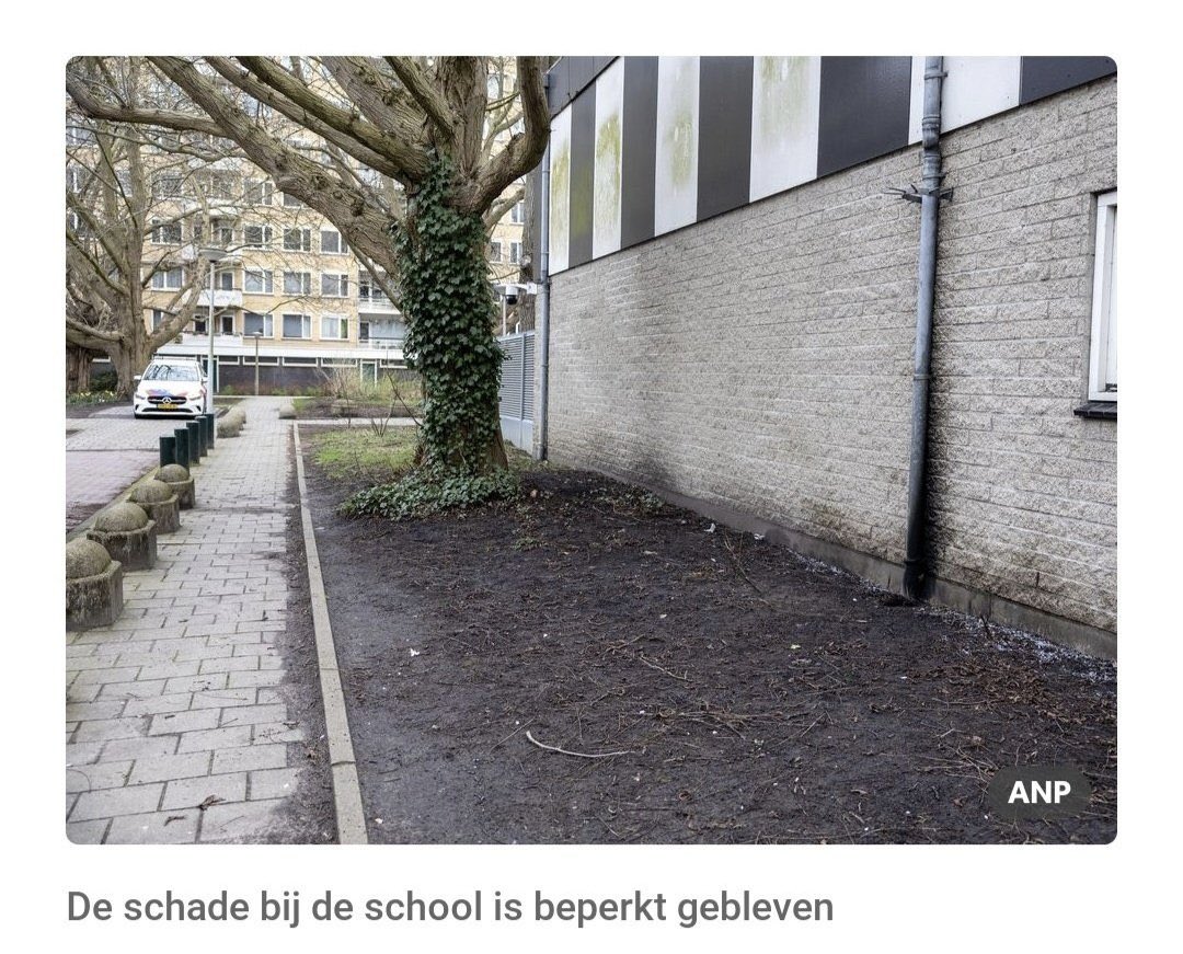 JusticeWolf🛡️🐺 tweet media