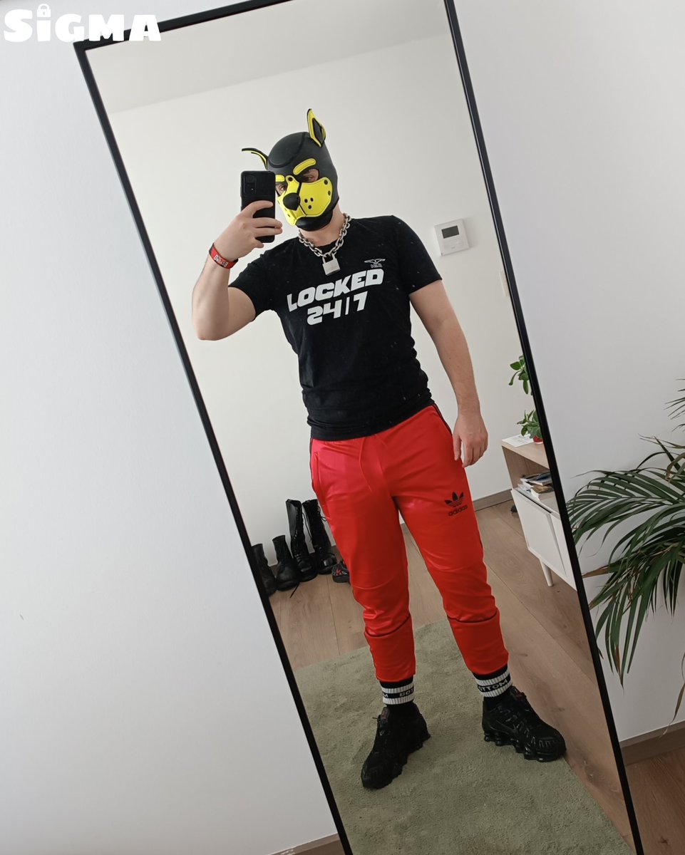 PuppySigma's tweet photo. Darklands 2026
Day 5 - Daytime : Last day of market and drive home https://t.co/Wq3Ng17Rvb