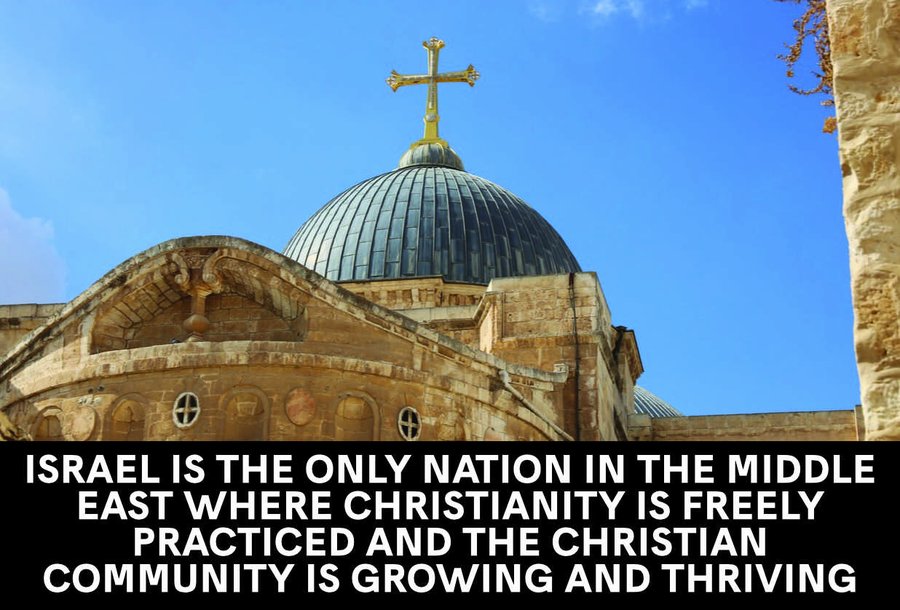 Patrick McGuinness tweet media