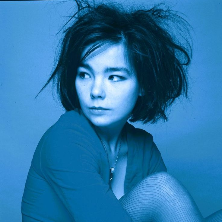 ethan 💿 tweet media