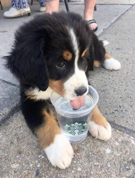 lenkabong's tweet photo. heh, yea i sip drank... https://t.co/lVMGnxtGfV