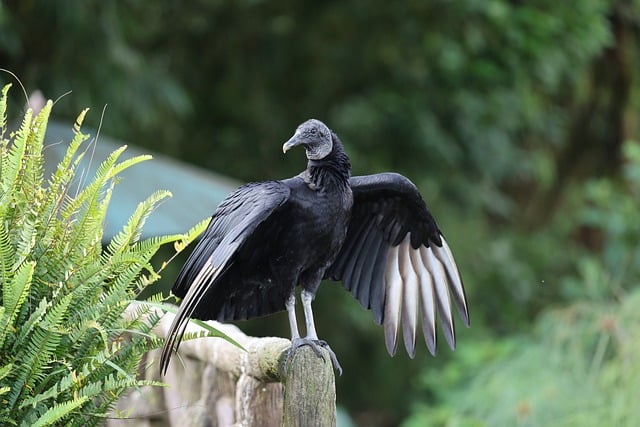 Cody Doyle tweet media