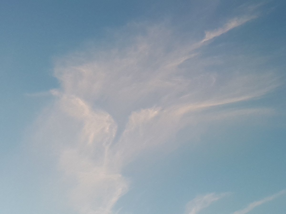 Eli Brody tweet media