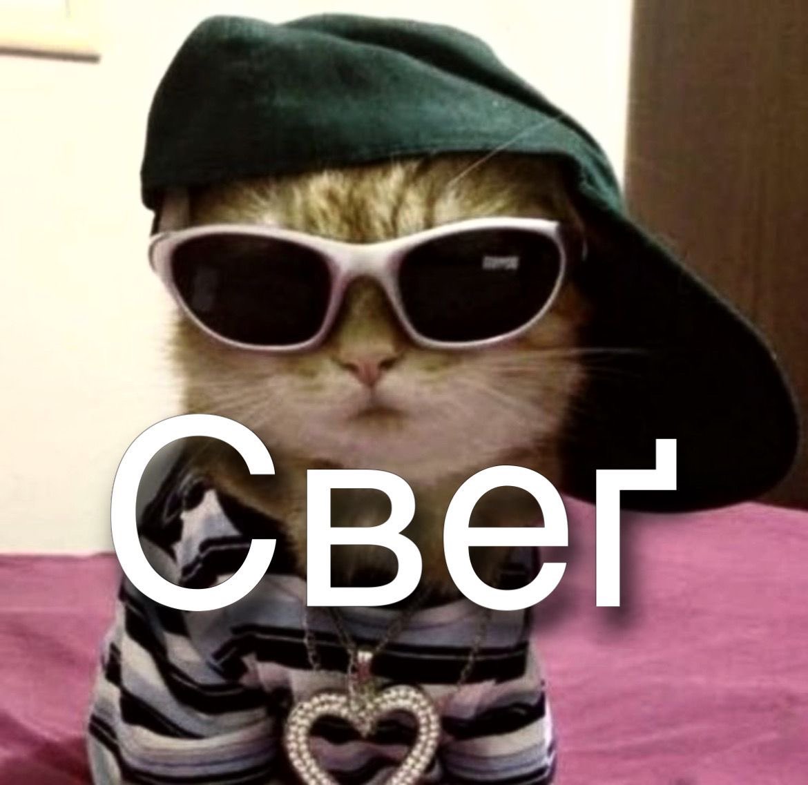 даринка tweet media