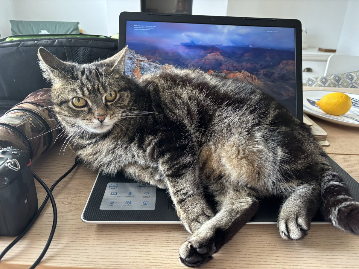 Steph Murphy tweet media