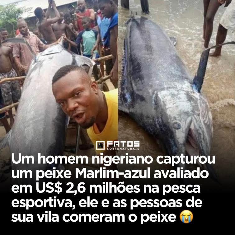 Stuart, o secundário tweet media