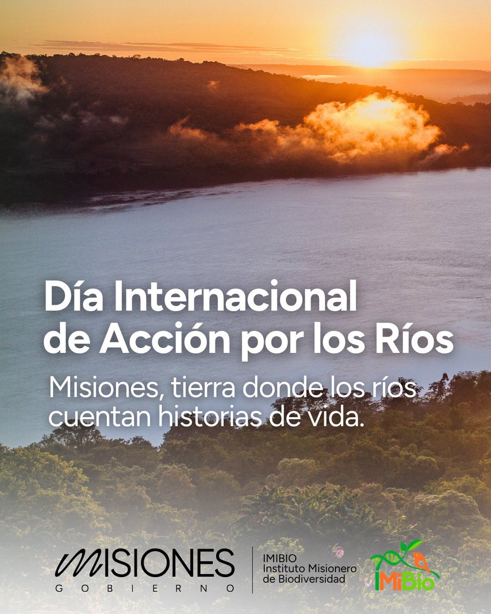 Instituto Misionero de Biodiversidad tweet media