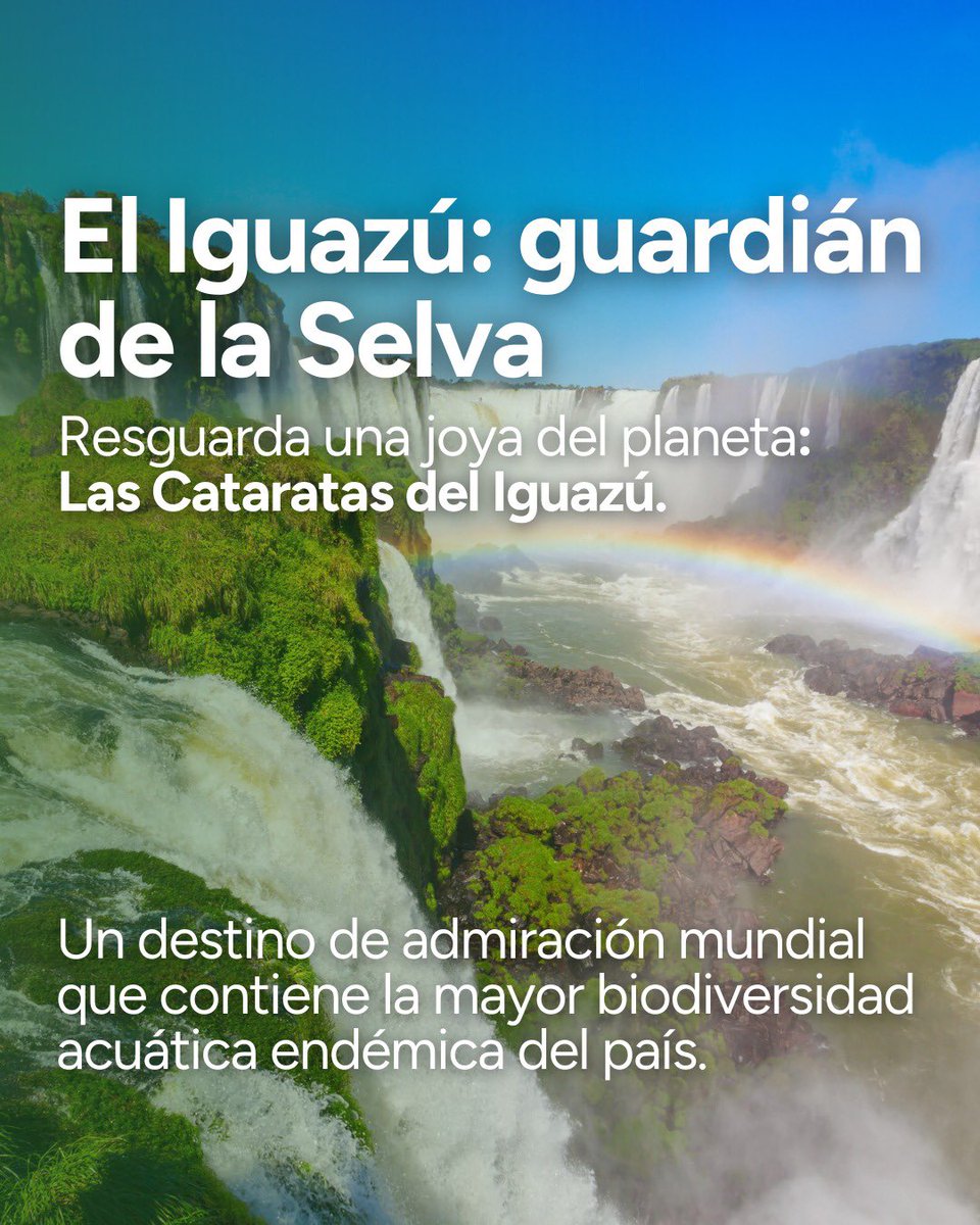 Instituto Misionero de Biodiversidad tweet media