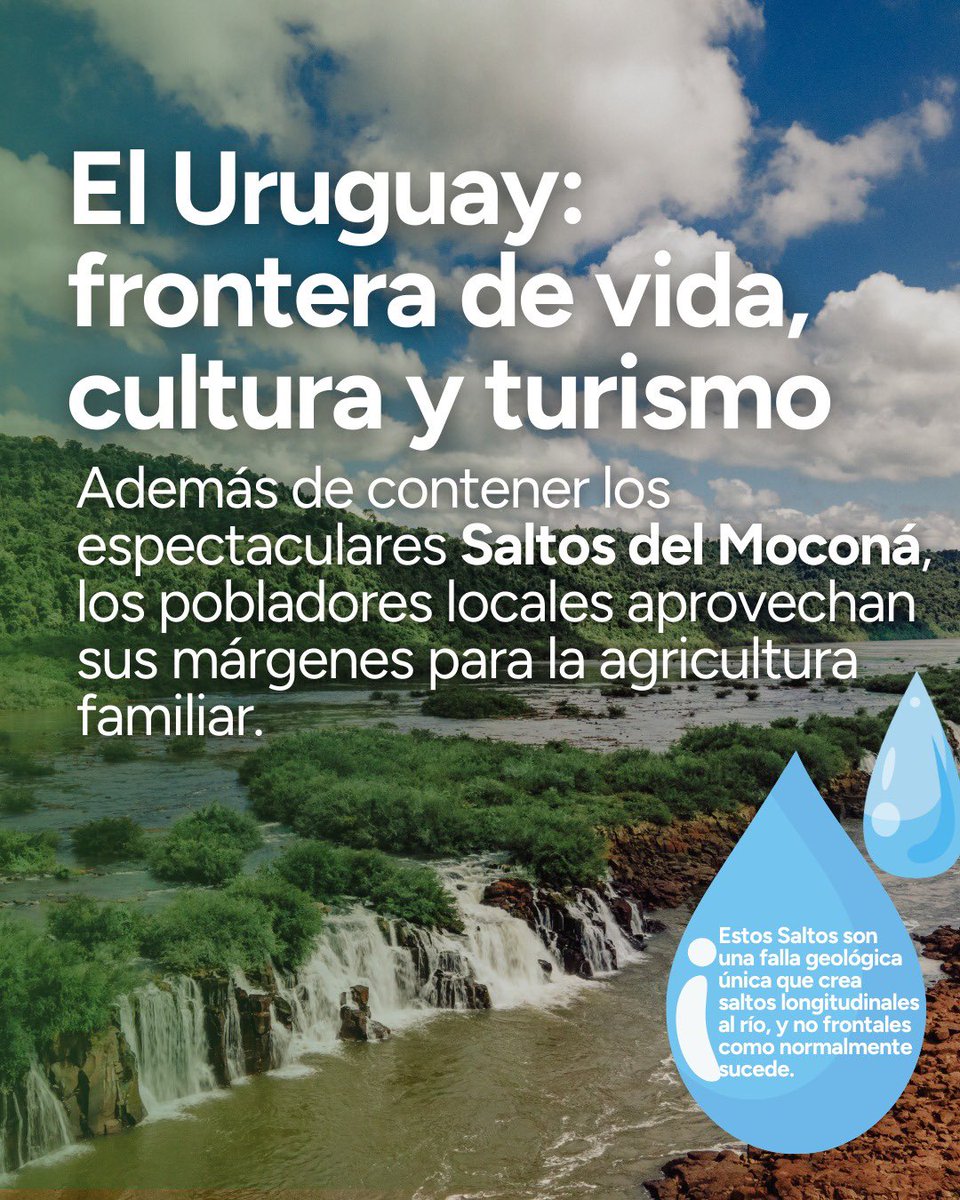 Instituto Misionero de Biodiversidad tweet media