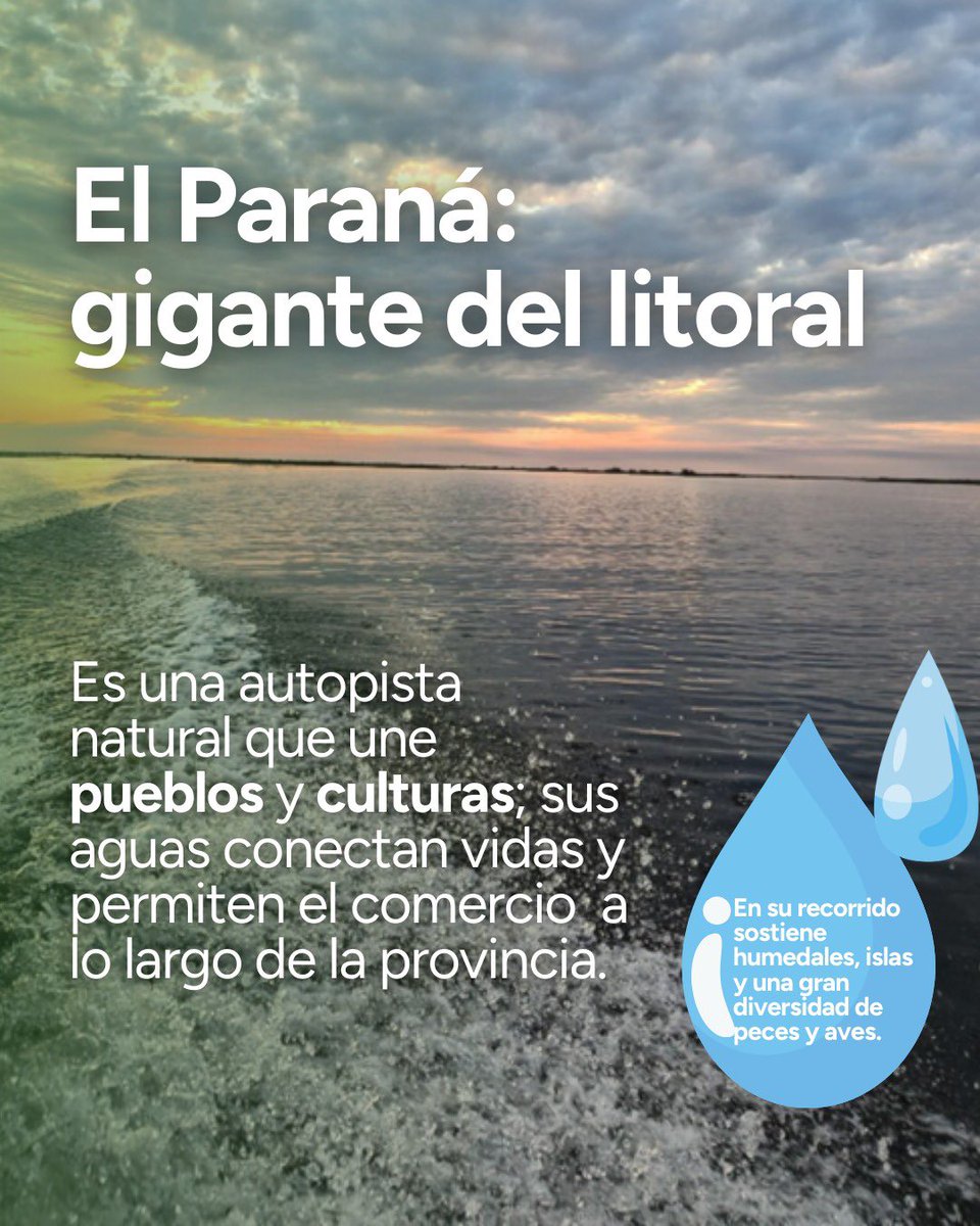 Instituto Misionero de Biodiversidad tweet media