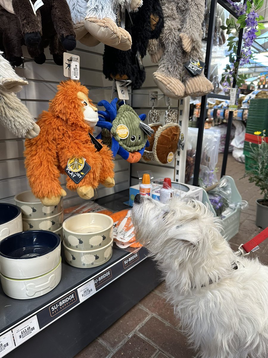 Robert Howard tweet media