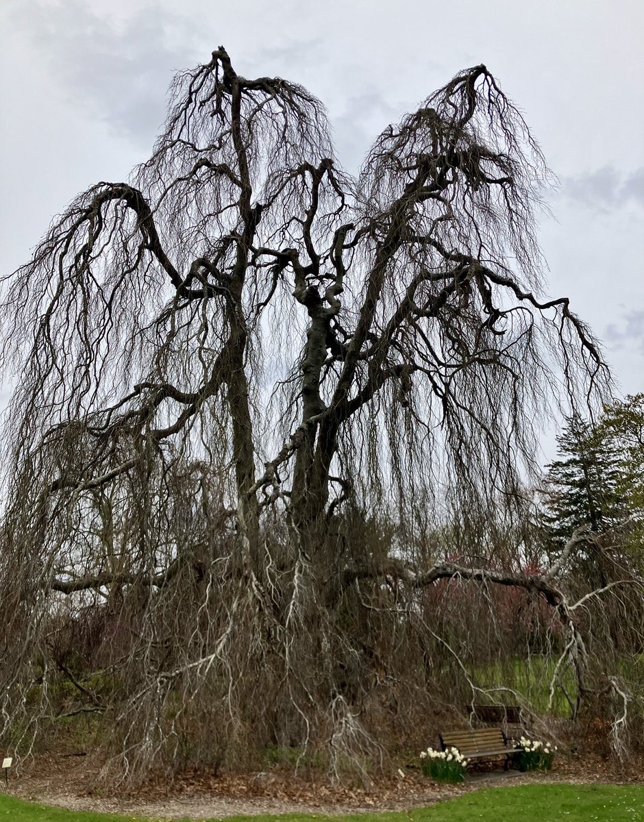 MariaRu33675557's tweet photo. ๐๐ชพ #SpringFeeling weโre almost there ๐ท๐ชป๐น
@OutdoorPhotoMag @AMAZlNGNATURE @Nature @NaturePhotoNet @NatureandtheNa1 @NatureandAnimaI https://t.co/k2xEHdzFmt