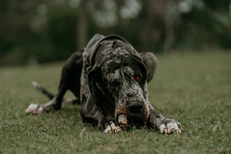 Entendu au bureau tweet media