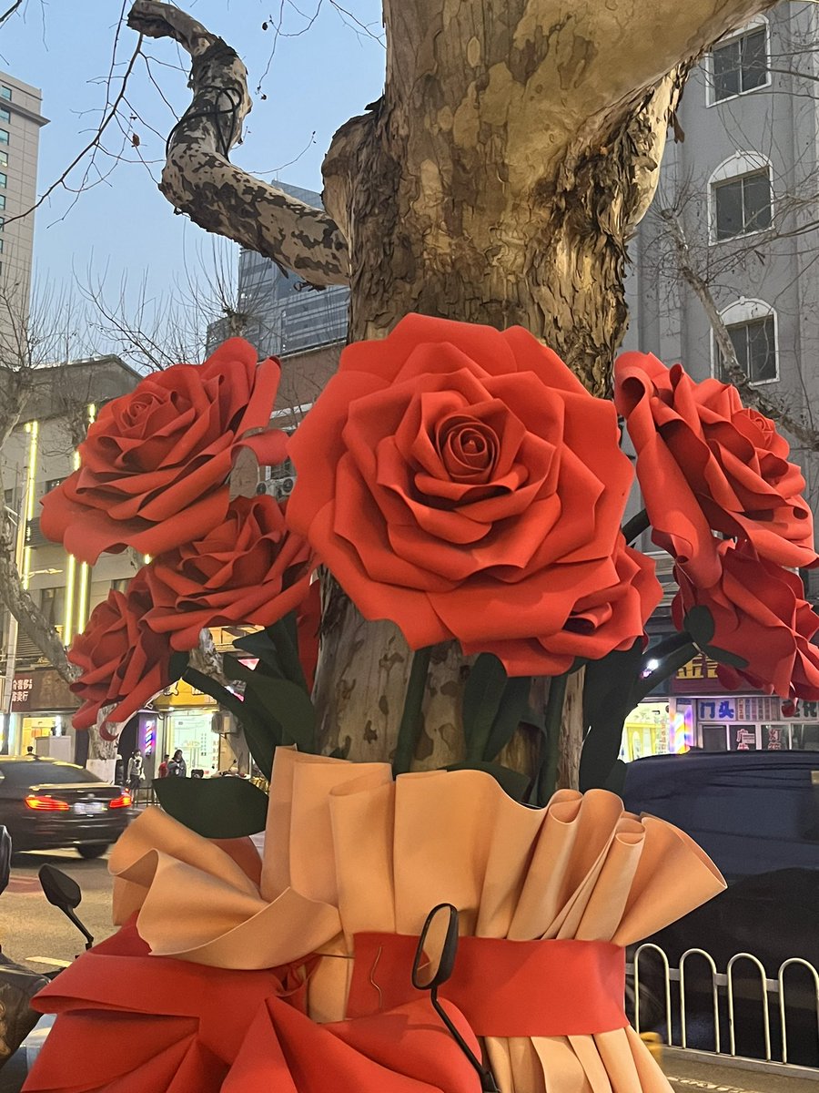 爱💦的水牛 tweet media