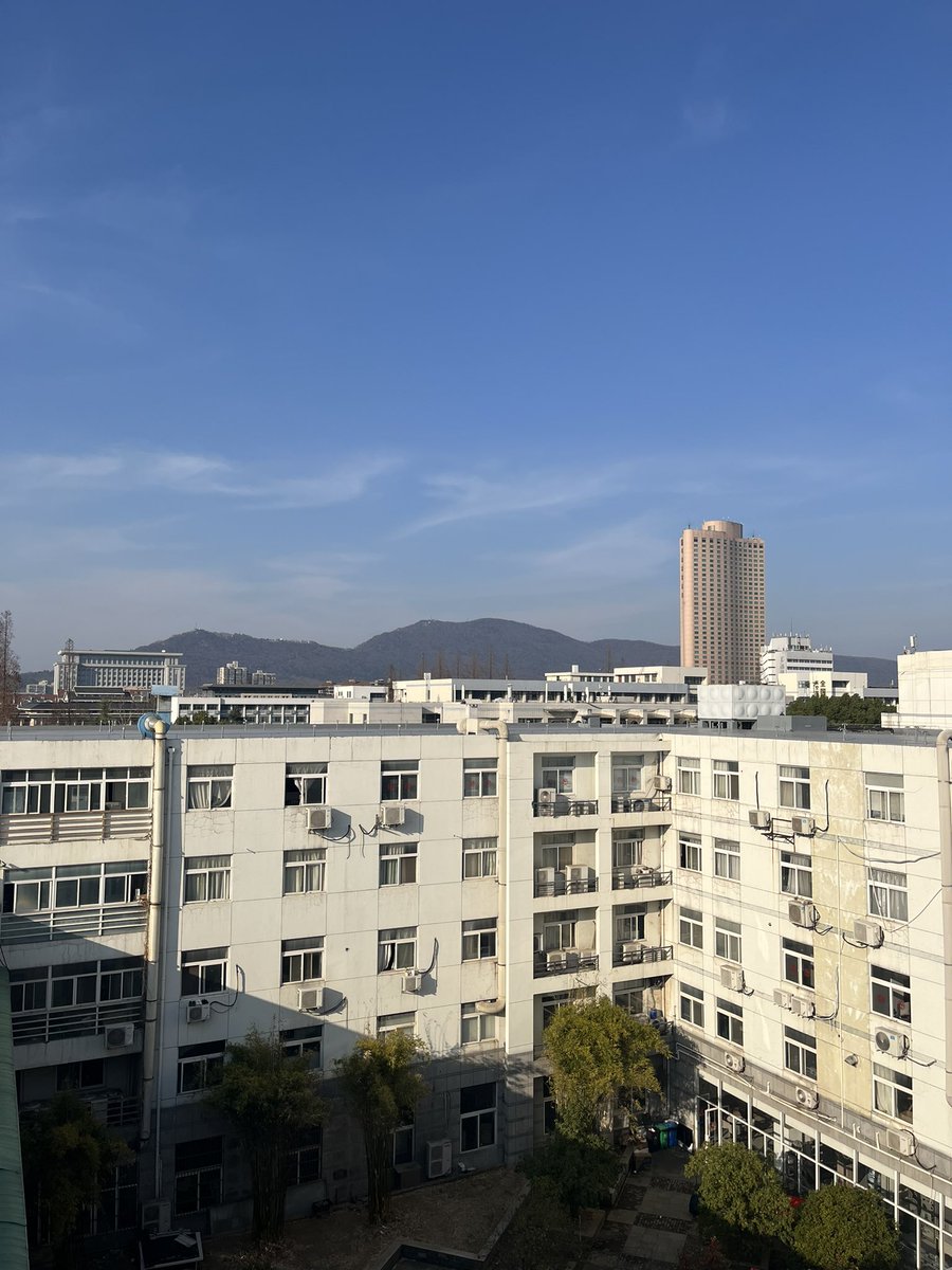 爱💦的水牛 tweet media