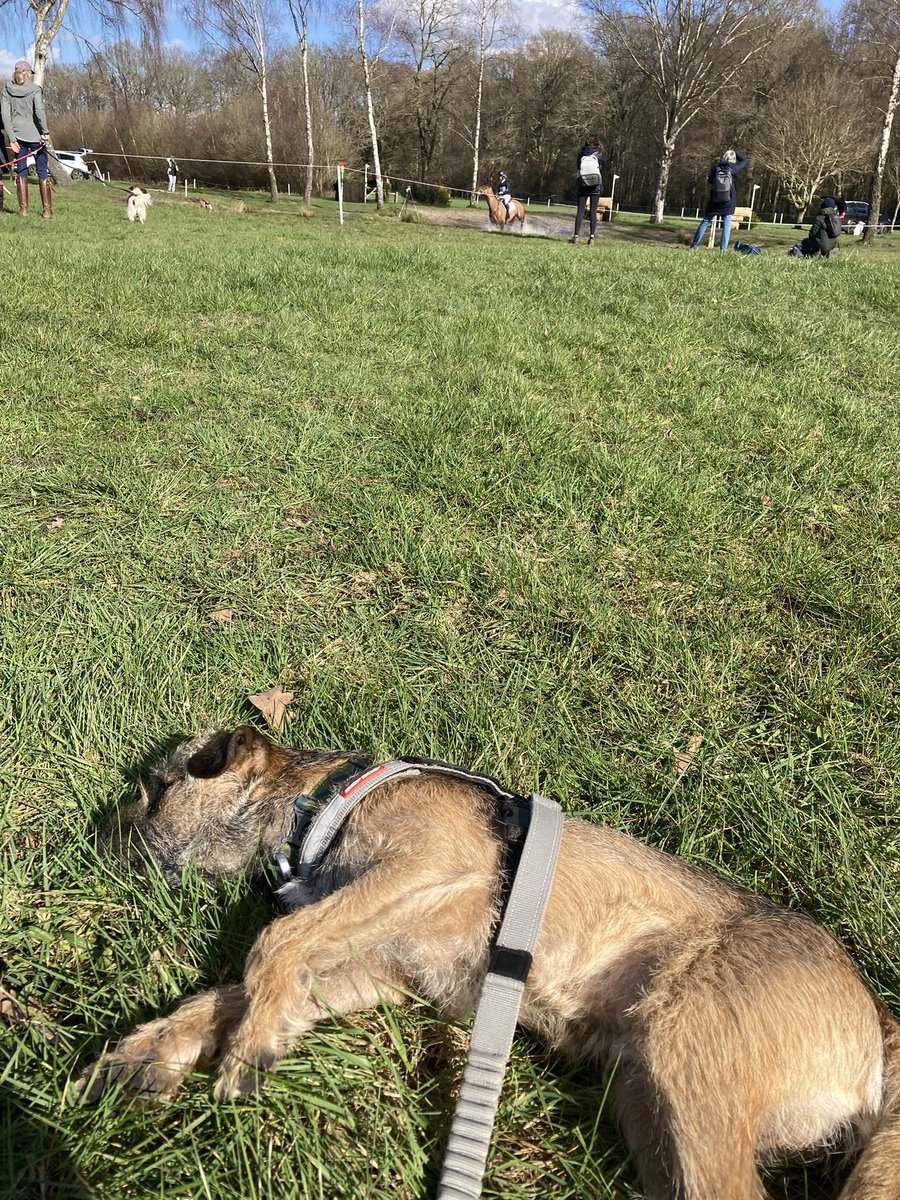 HarristheBorder tweet media