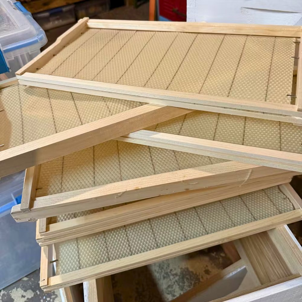 FoxhoundBeeCo's tweet image. Who loves their wax foundation? 🐝
 
Kerri Corsano definitely does. She says that our beeswax foundations are "easy to use and the bees seem to love them."

Shop our wax foundation, frames, and assembly tools here: bit.ly/4sHZkjB

#foxhoundbeeco #foundation #frames #wax