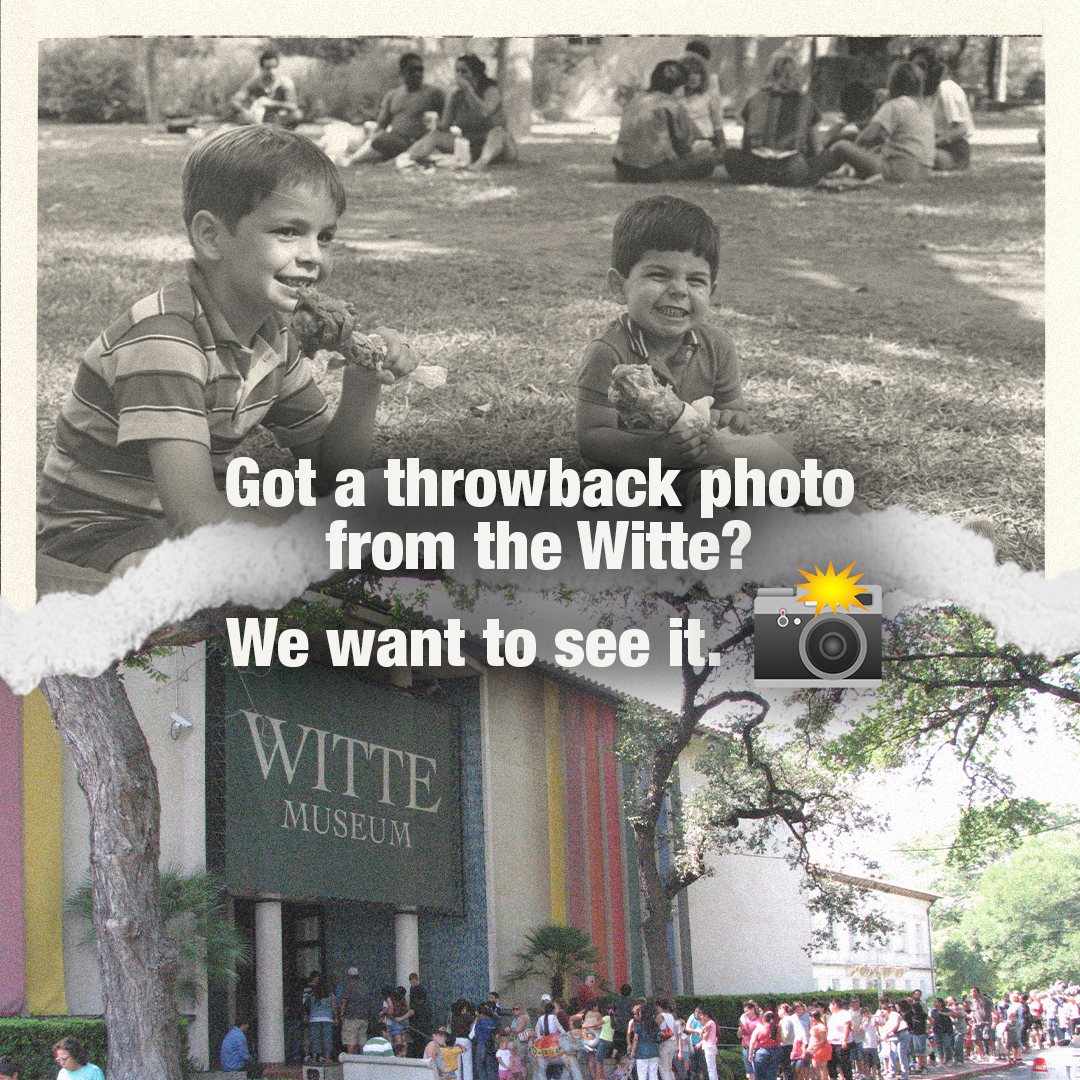 Witte Museum ~ Nature, Science & Culture tweet media