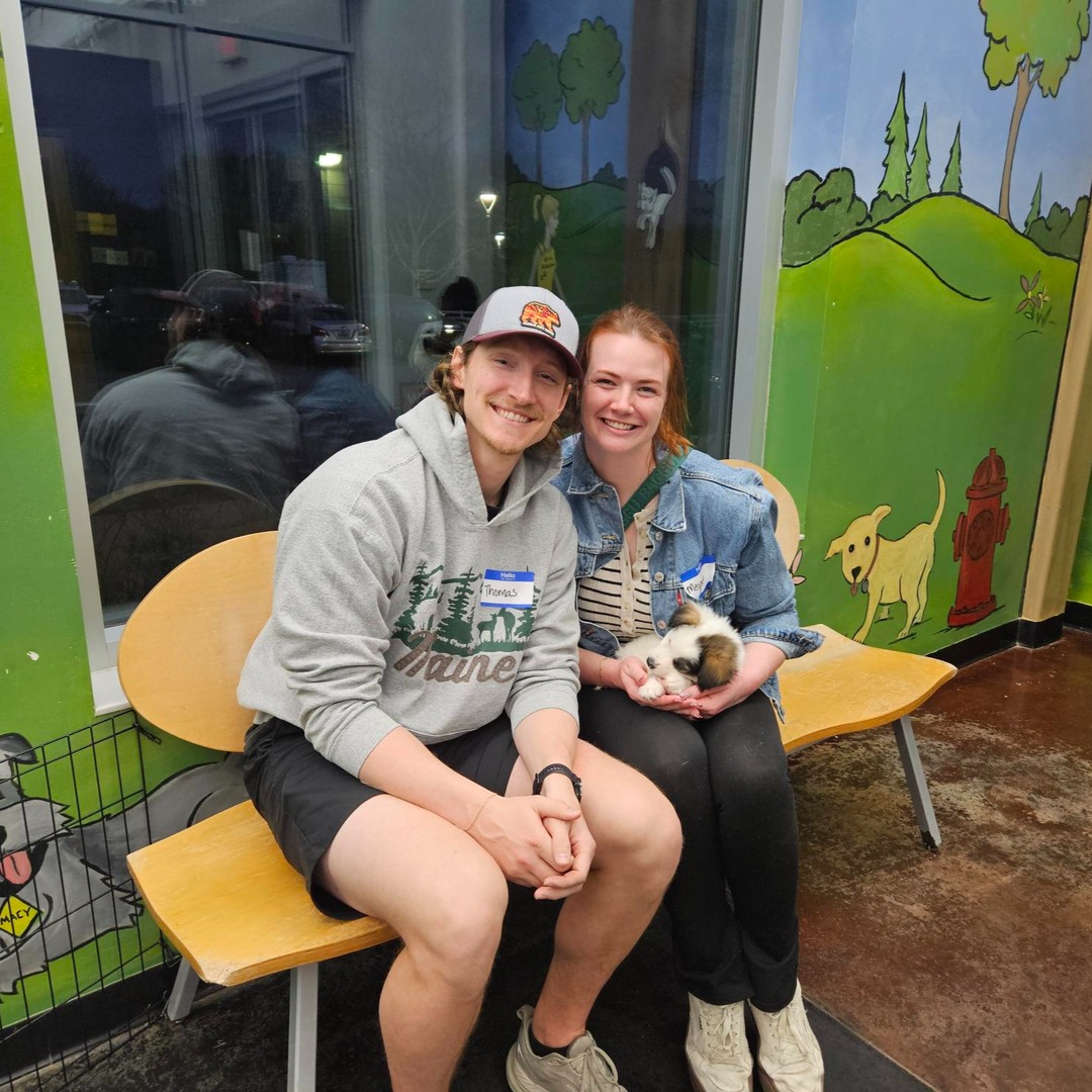 Memphis Humane Society tweet media