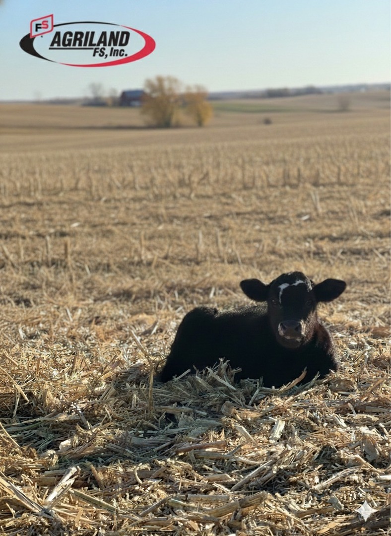 AGRILAND FS tweet media