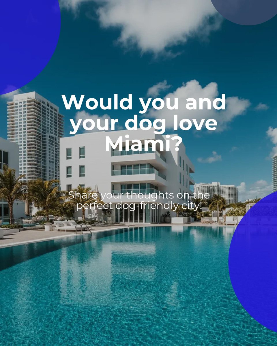 Miami for Dog Lovers: 🐾🌴 From off-leash fun at Haulover and Hobie Island Beach to strolling the Art Deco District! Grab a bite at pet-friendly spots like The Salty Donut as you enjoy sunny vibes. Explore why Miami's a paradise for you and your furry friend. #DogLifeMiami