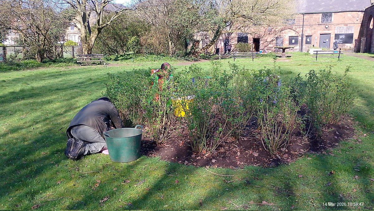 L22 Seafront Gardens tweet media