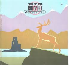 John Connolly tweet media