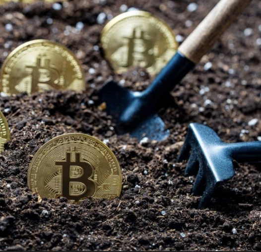 Coin Bureau tweet media