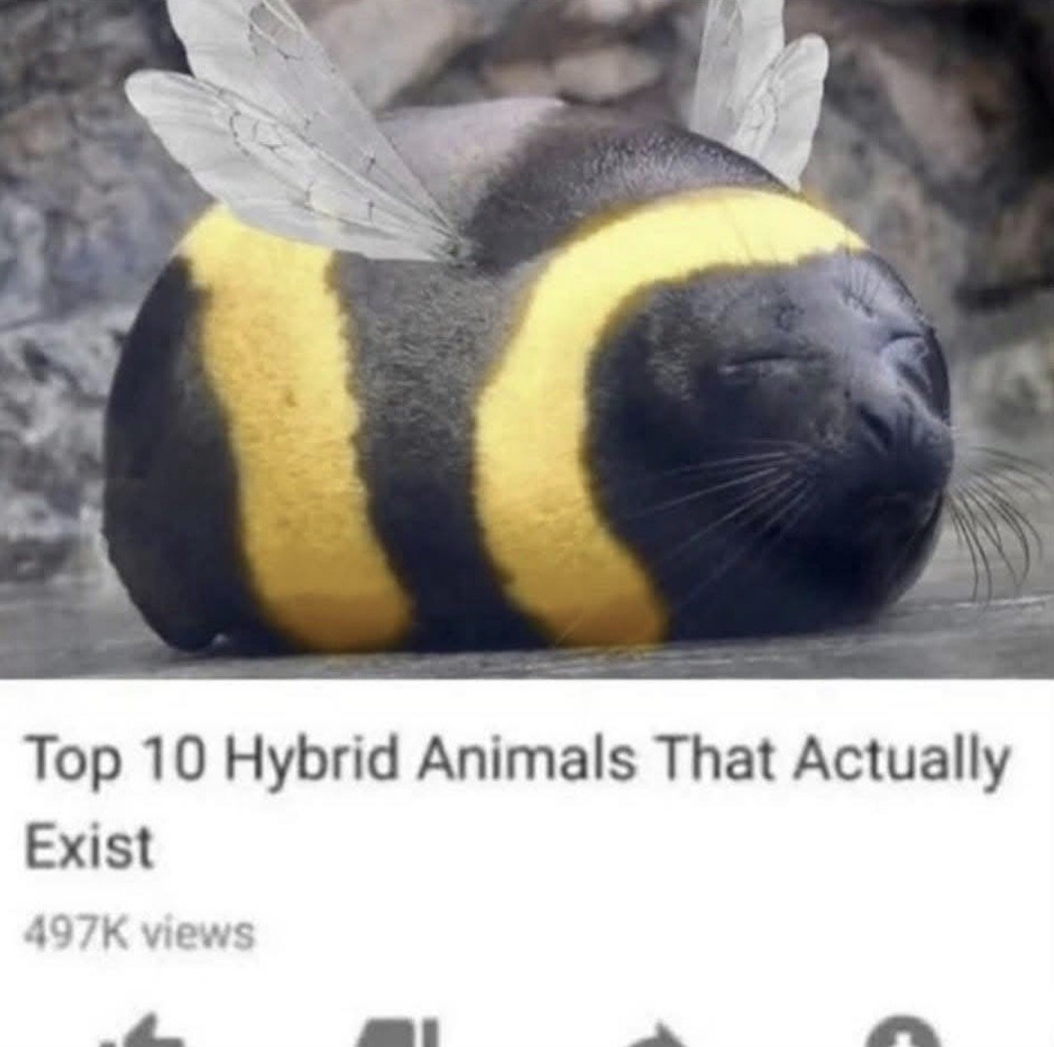 caleskowitz tweet media